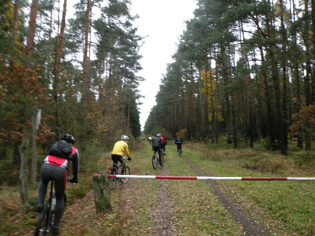 CTF-Permanente Neustaedter Holz 138